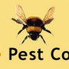 L Bee Pest Control