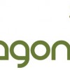 Dragonfli