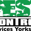 Pest Control Services