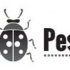 Reliable Pest Control