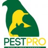 Pestpro Bird Solutions