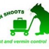 Essex Green Shoots Pest Control